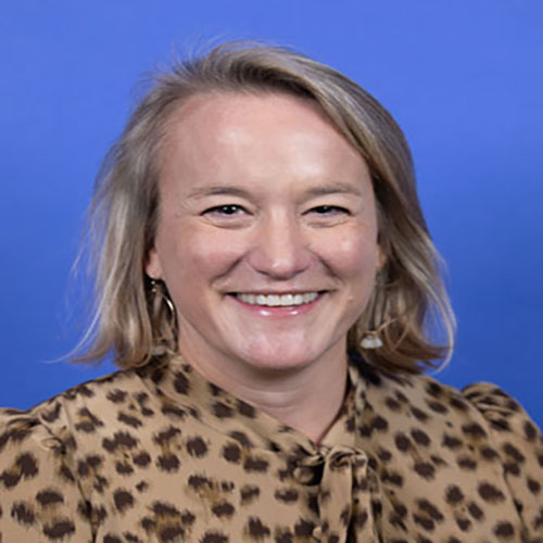 Representative Nikki Budzinski Illinois's 13th Congressional District