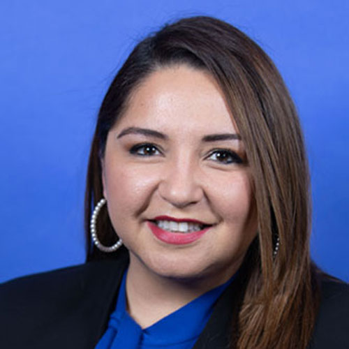 Representative Delia Ramirez   	Illinois's 3rd Congressional District 